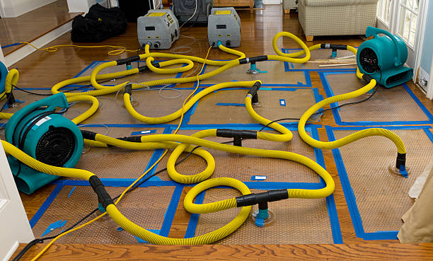 Professional Water Damage Restoration technician working in Pleasant Hill, MO